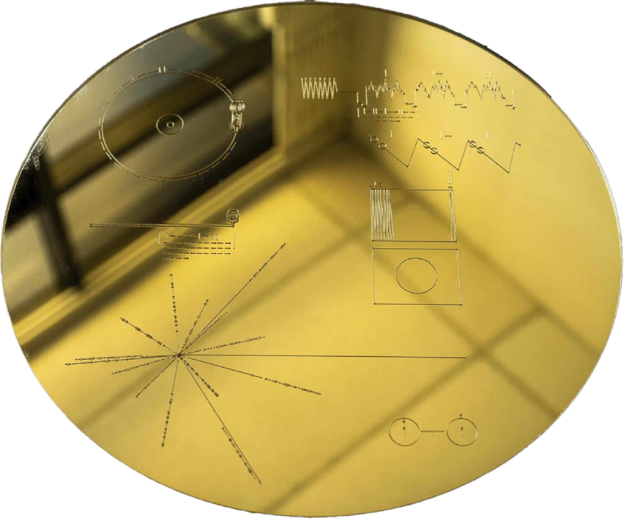 7” Golden Few A Great Time / Version NONE GOLDEN DISC /00080 Amazon.com: Mirrored Gold Voyager Golden Record The Sounds of